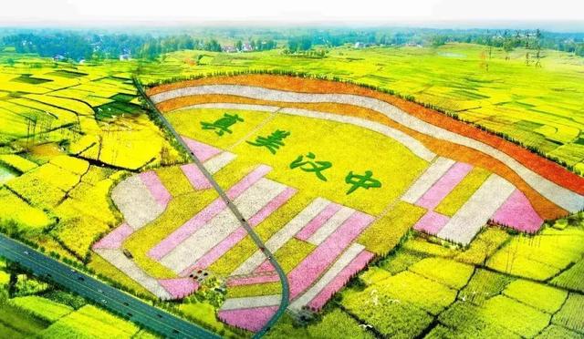 从汉中油菜花节说说节庆旅游如何保持生命力